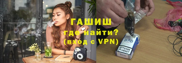 гашик Мегион