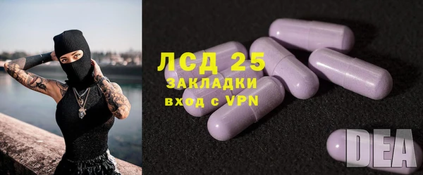 прущие крисы Медвежьегорск