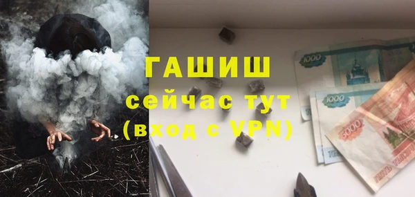 гашик Мегион