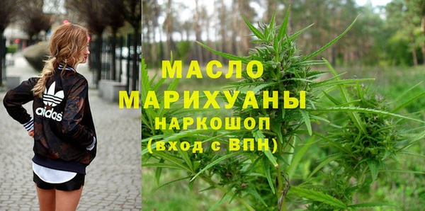 гашик Мегион