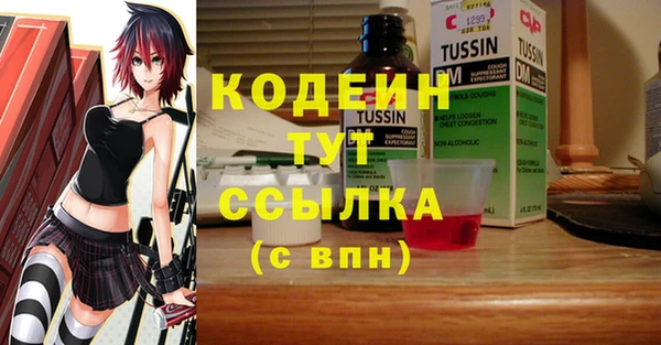 прущие крисы Медвежьегорск