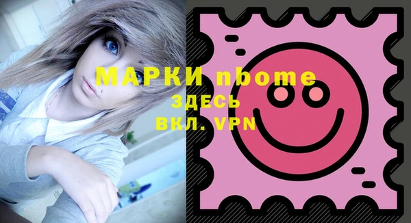 гашик Мегион
