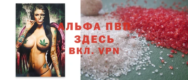 гашик Мегион