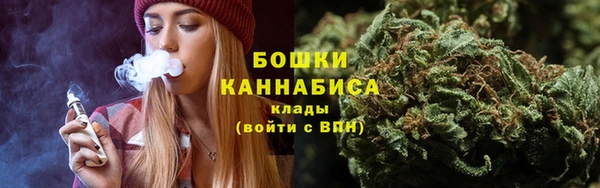 гашик Мегион
