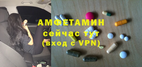 гашик Мегион