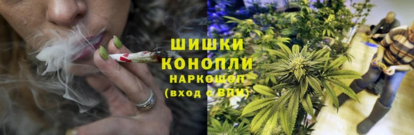 прущие крисы Медвежьегорск