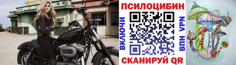 Купить  Армянск  Псилоцибиновые грибы прущие грибы 